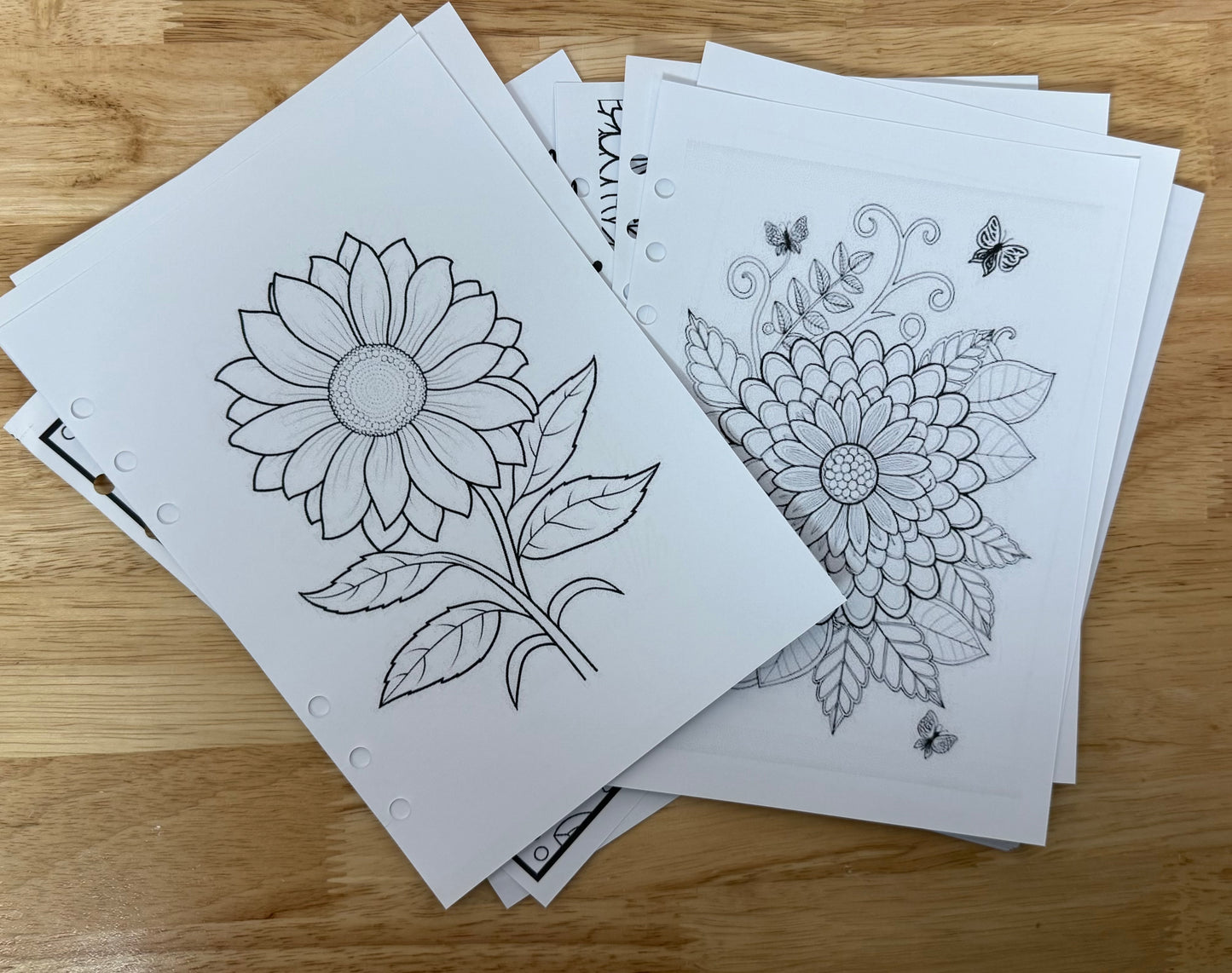 Coloring Page Inserts