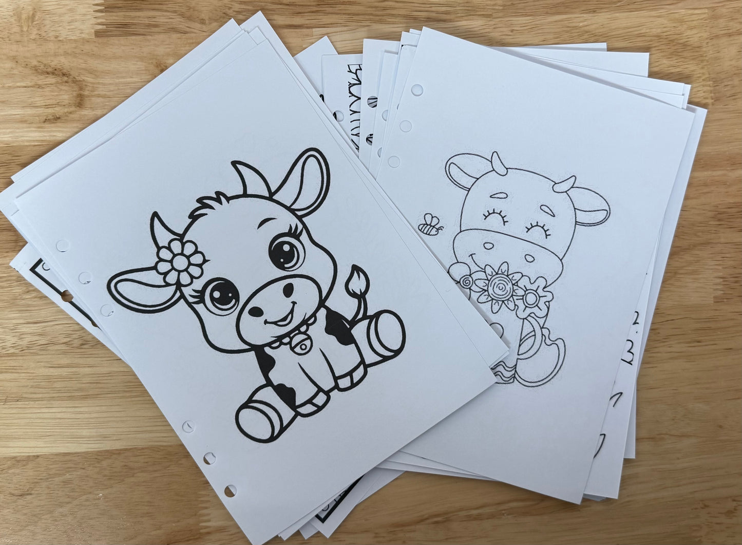 Coloring Page Inserts